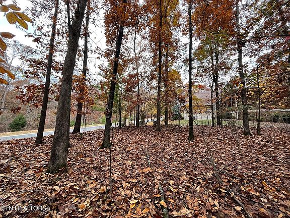 5th image of 1752 Old Dogwood Trl