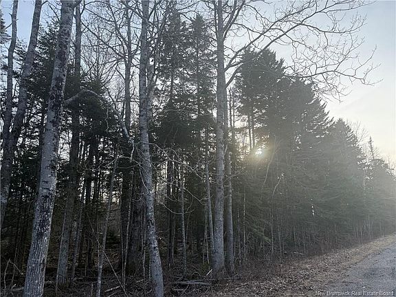 3rd image of McKay Loop Rd