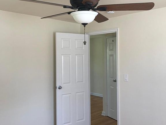Designer Fans