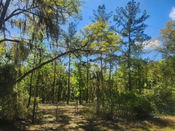 6549 Fruit Ave, Bunnell, FL 32110