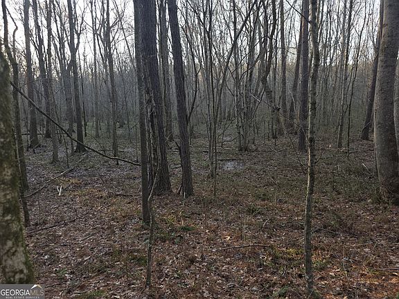 3rd image of 0 Golden Rd