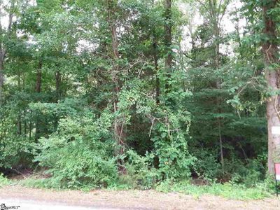 289 Winetta St, Laurens, SC, 29360