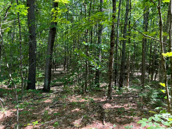 TBD Burnham Road, Limerick, ME 04048