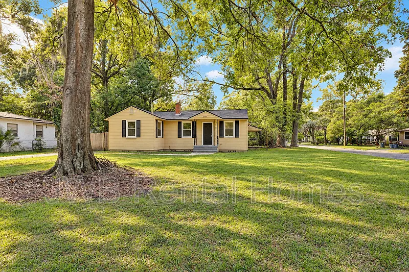 Paxon — Photo 1