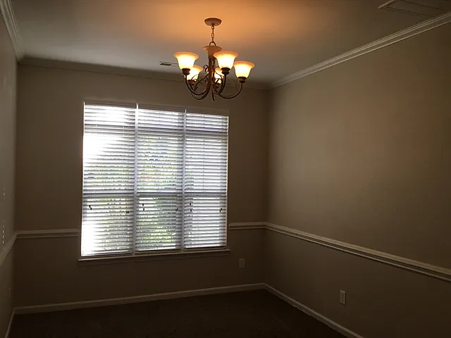 1202 Haden Dr — Photo 4