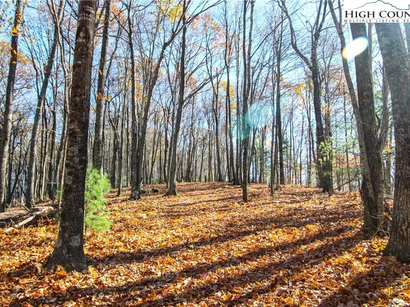 TBD Pine Knoll Drive, Fleetwood, NC 28626