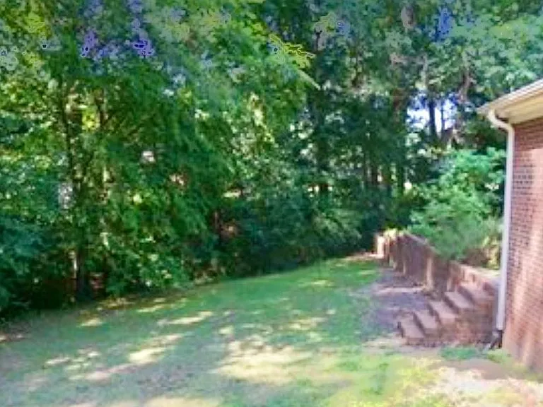 View from screened in back porch toward driveway