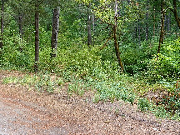 4th image of 9.69 Acres Dog Creek Road