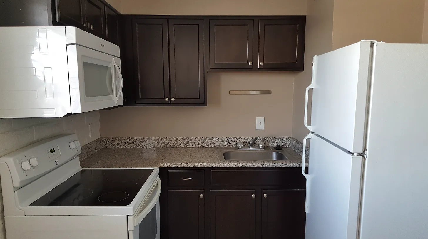1 bed, 650 sqft, $995 — Photo 2