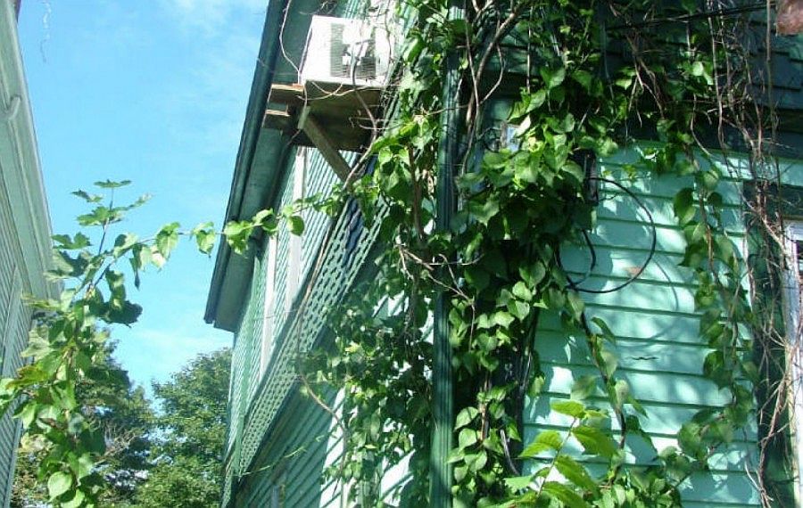 2nd image of 43 Elmont St