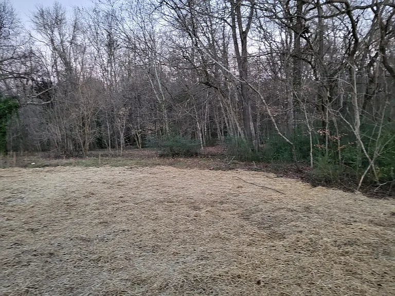 Private backyard