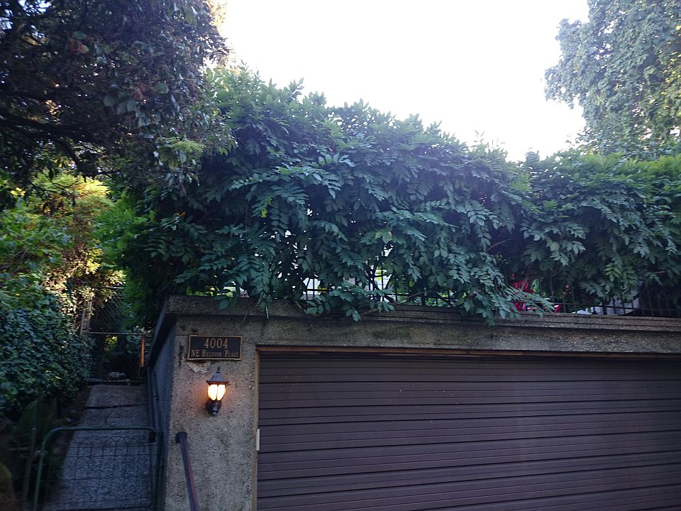 1st image of 4004 NE Belvoir Pl