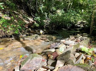 355 Pigeon Creek Rd, Bryson City, NC 28713