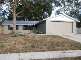 801 Canoe Ct, Brandon, FL 33510