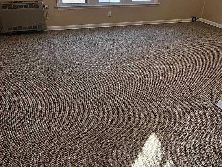 206 E Danaher St #3 — Photo 7