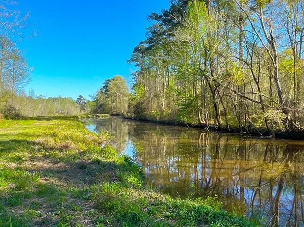 0 1625 Sr, Pantego, NC 27860