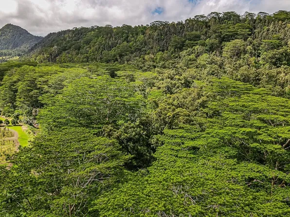 30 Moaula Lot Pahala Cir, Pahala, HI 96777