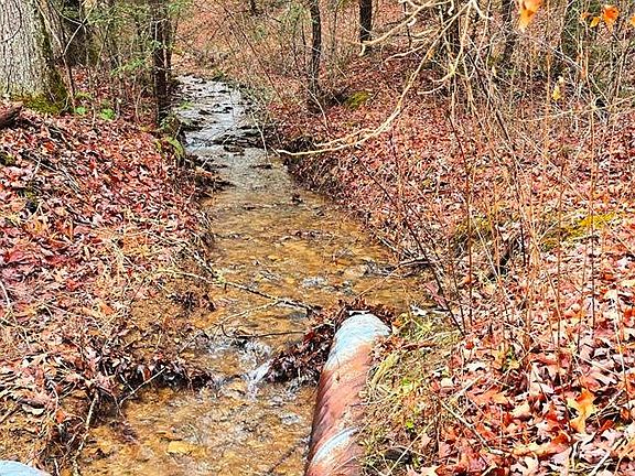 5th image of 7100 Slab Camp Rd