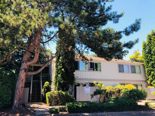 Willow Tree Apartments