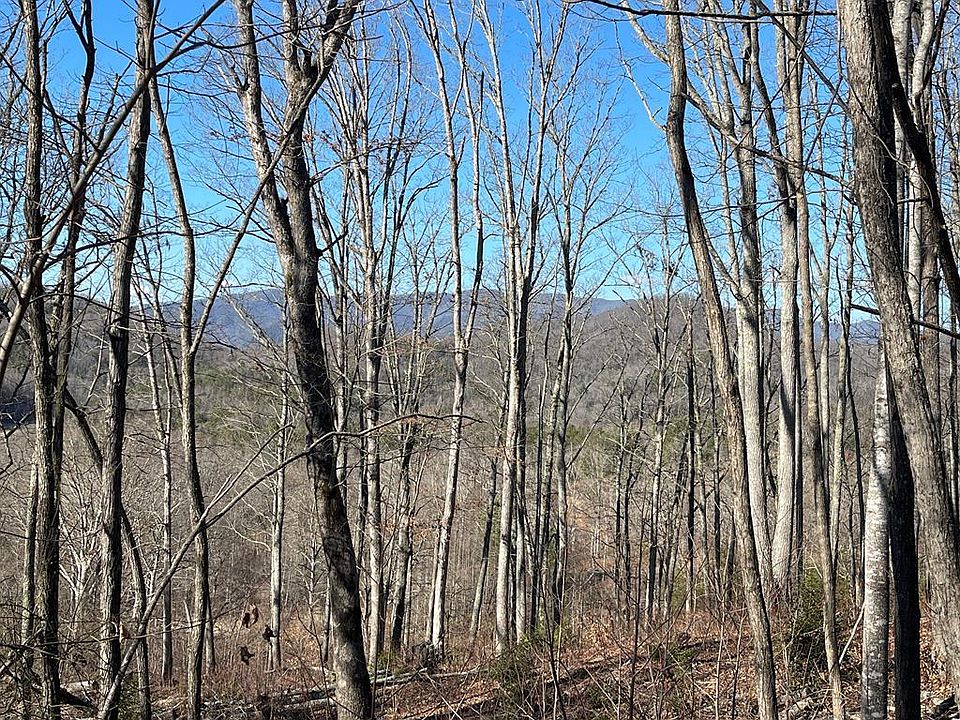 2nd image of LOT-18M Ridges Overlook