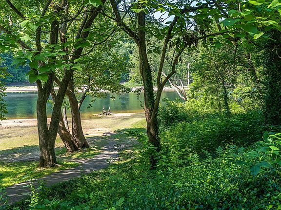 32-web-or-mls-Copy of 20210616-DSC05987-