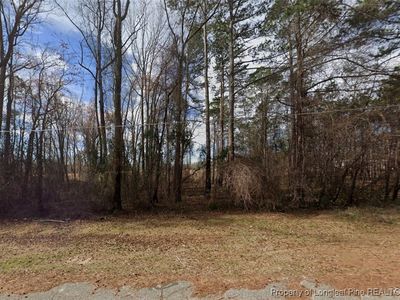 0 S Wilkinson Dr, Saint Pauls, NC, 28384