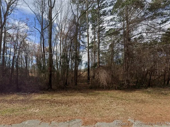0 S Wilkinson Dr, Saint Pauls, NC 28384