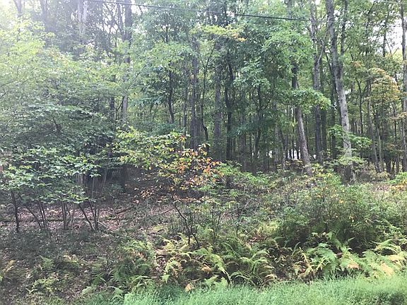 2nd image of 1242 Woodhaven Dr