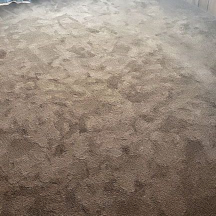 newer carpet master bedroom