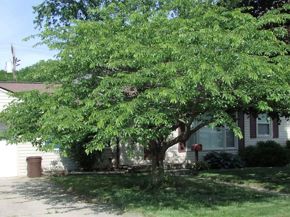 2nd image of 14771 Merriman Rd
