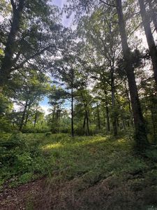(Undisclosed Address), Sheridan, AR, 72150
