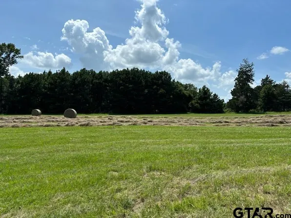 County Road 1325 Lot 4, Pittsburg, TX 75686