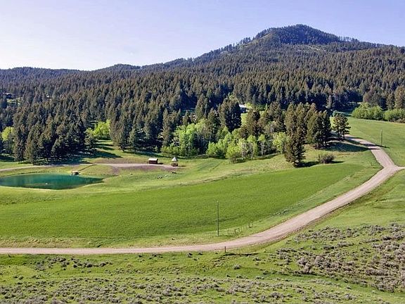 Looking over the 40 acres of meadow and trees