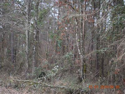7546 Beekman Tower Road, Bastrop, LA, 71220