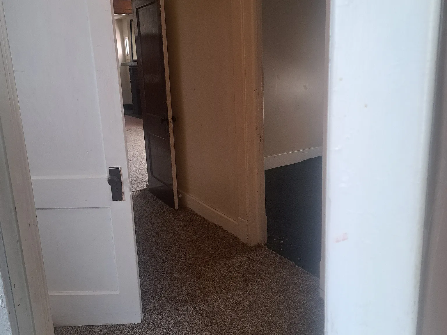 3 bed, 2800 sqft, $900 — Photo 4