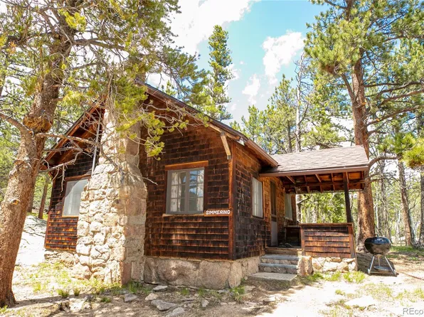 84 County Road 113N, Allenspark, CO 80510