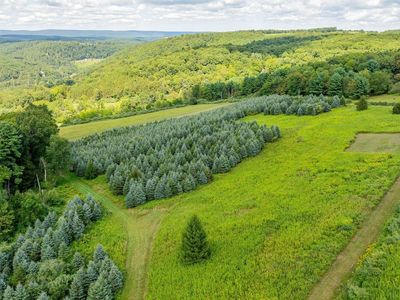 Whitehorse Pike Rd, Millville, PA, 17846