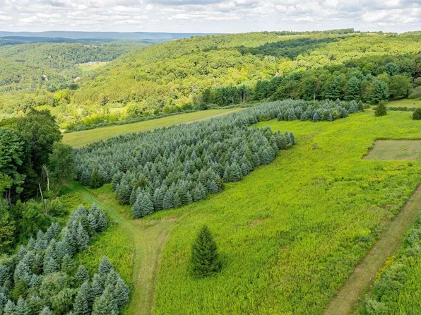 Whitehorse Pike Rd, Millville, PA 17846