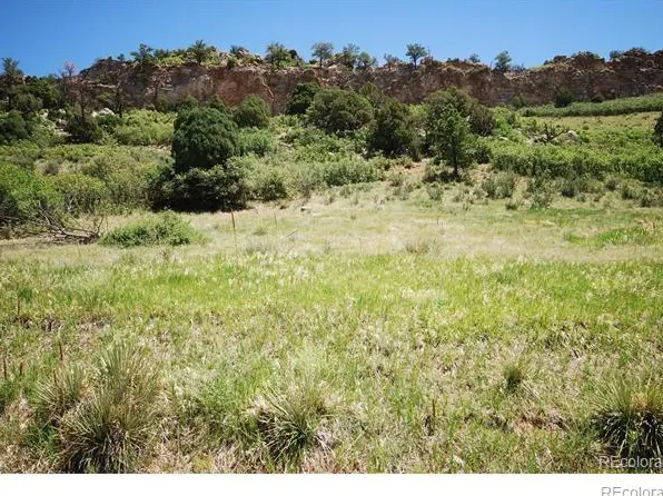 6580 Wauconda Dr, Larkspur, CO 80118