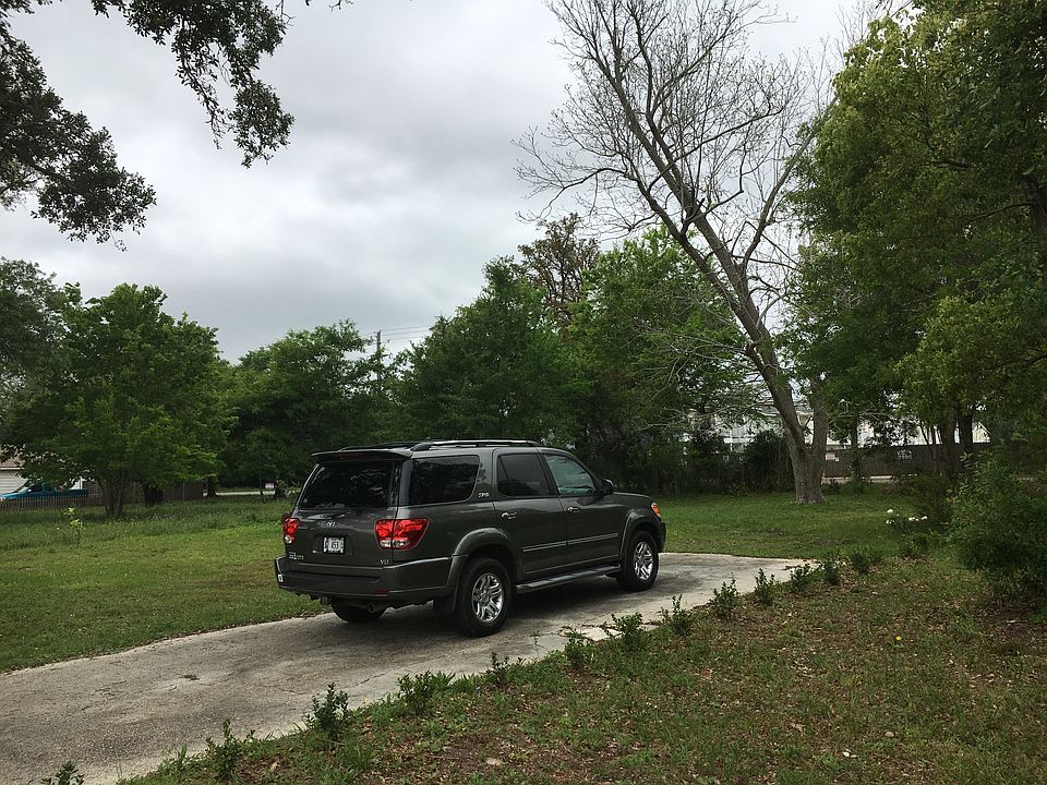2  large Pecan Trees 