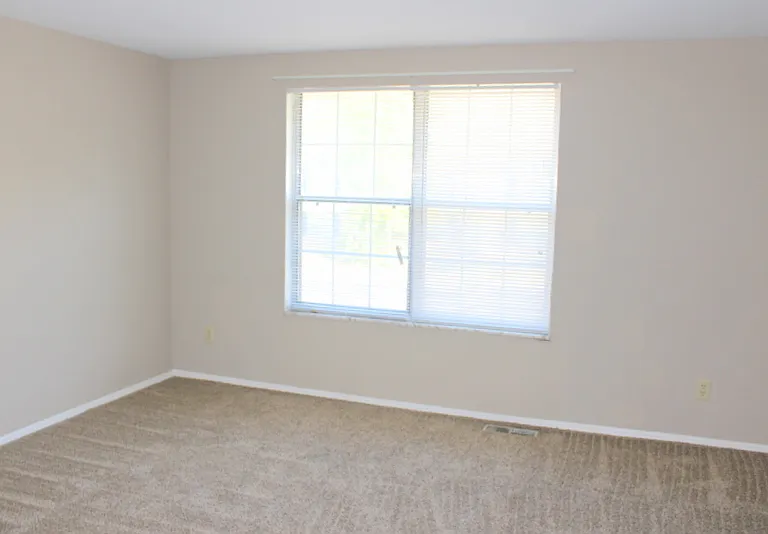 8053 Mount Aetna St — Photo 6