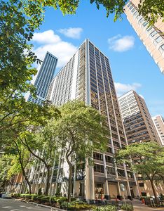 222 E Pearson St APT 2106, Chicago, IL, 60611