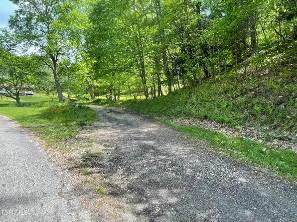 TRACT 5 Greer Rd, Trade, TN 37691