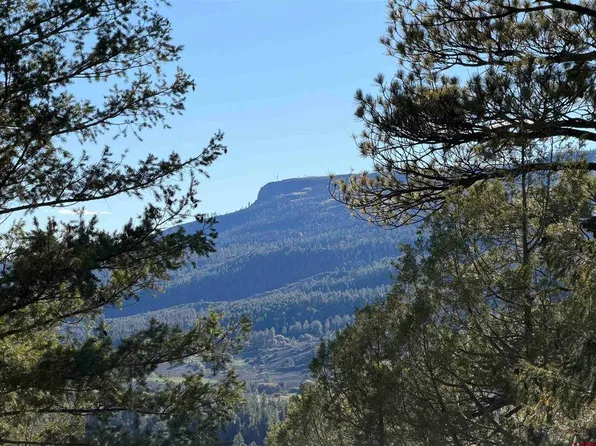 X S Cougar Court, Pagosa Springs, CO 81147