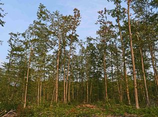 I Parcel Rd, Greenbush, MI 48738