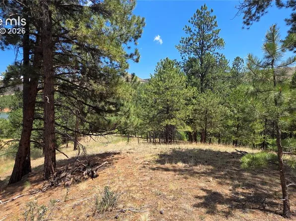 15394 Westcreek Rd, Woodland Park, CO 80863