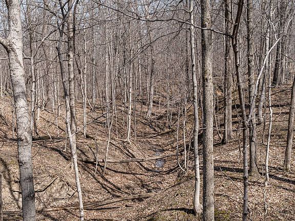 3rd image of 5150 W Wander Rd