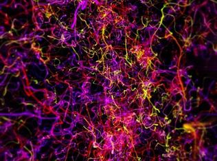 0 Allen Rd, Billerica, MA 01821