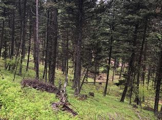 255 Grizzly Dr, Seeley Lake, MT 59868