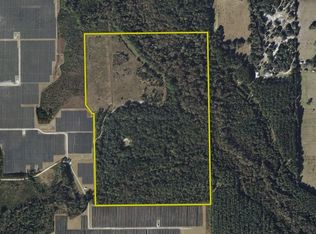 81 Clouds Ave LOT WP001, Interlachen, FL 32148